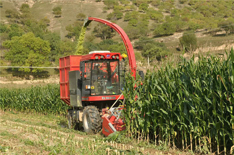 202006091591676675366587.jpg 11abf947-2df7-4074-8816-dc6e232e29e1.jpg