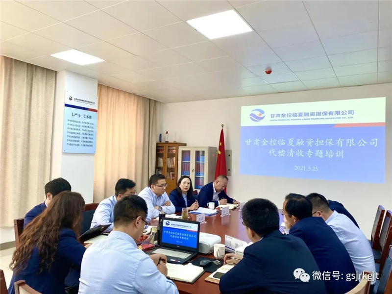 甘肃金控临夏担保公司开展代偿清收专题培训